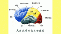 说绕口令总是错或某个字发音总错，是不是球部发病？